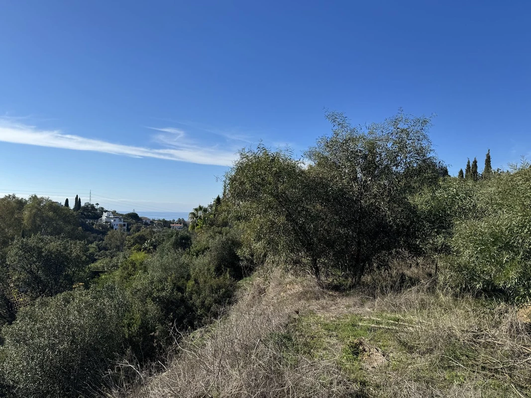 5-3595ad71cbd87be6c3643a4285ef4791