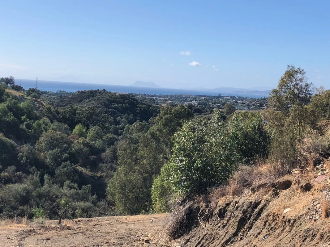 4-c23c0f86247804fa50226aecd8b0b2c8