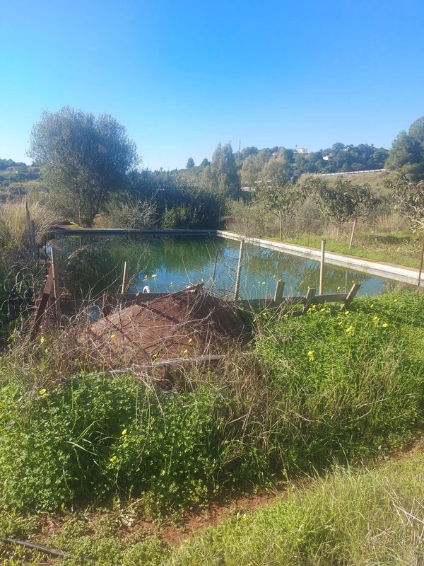 9-467d0cee5b725f3ef65f102a0c2e69c0