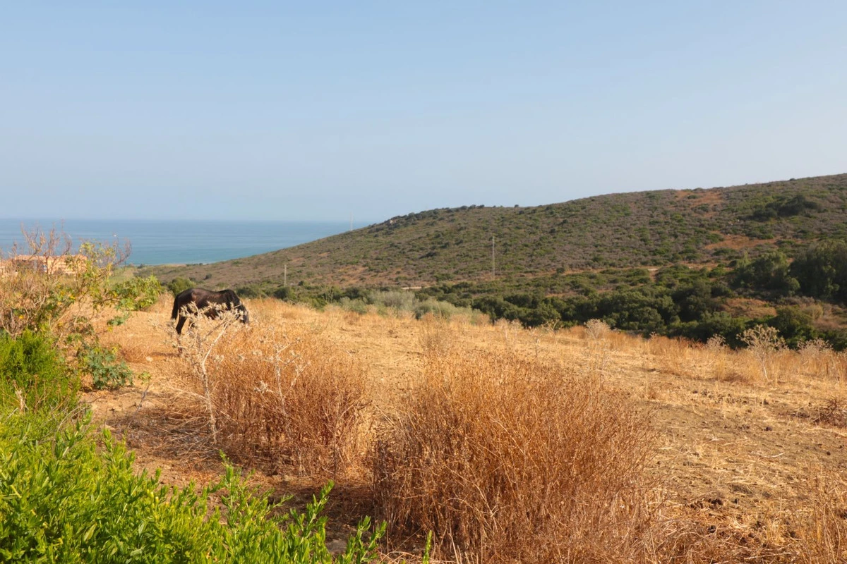 2-5bd7b9d04b45e33852eaf0ec6670150d