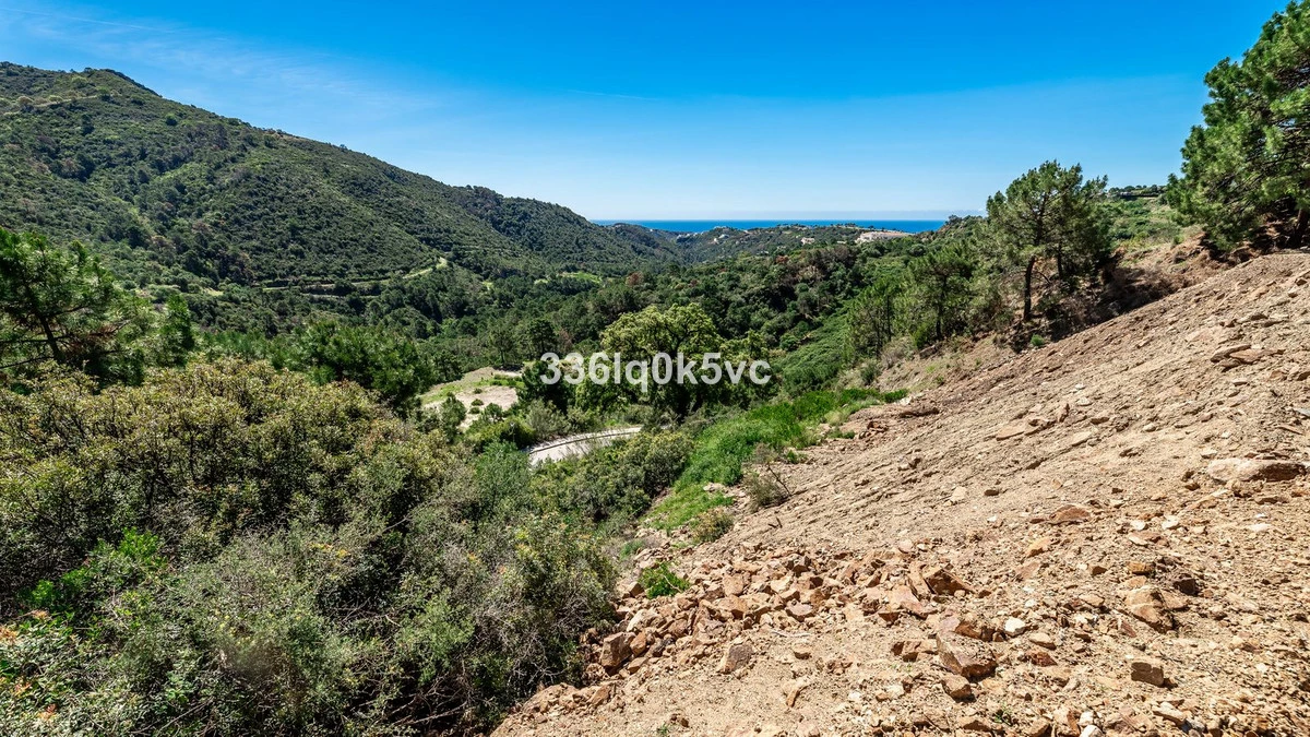 7-aa4cc561180b369757c0bb4af9886cd3