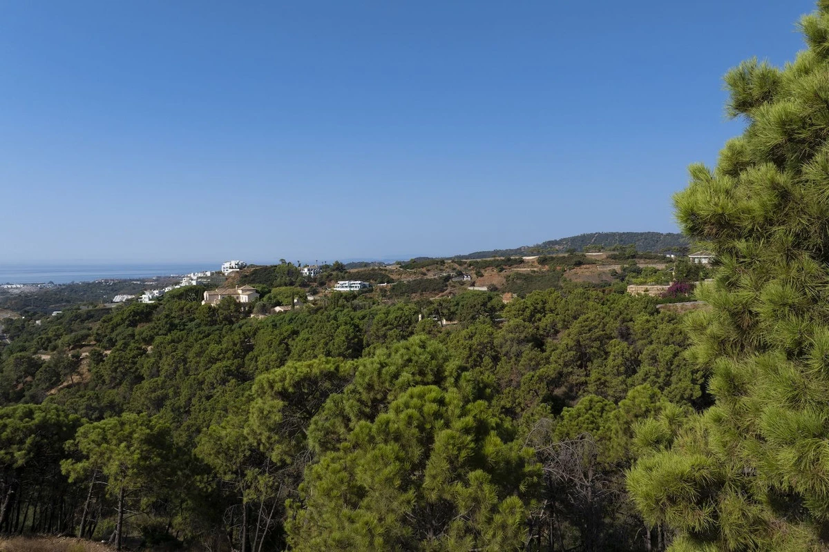 5-3595ad71cbd87be6c3643a4285ef4791