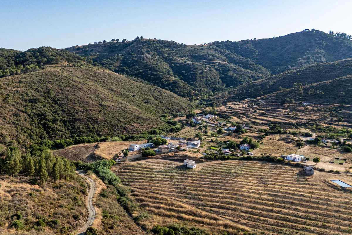 5-3595ad71cbd87be6c3643a4285ef4791