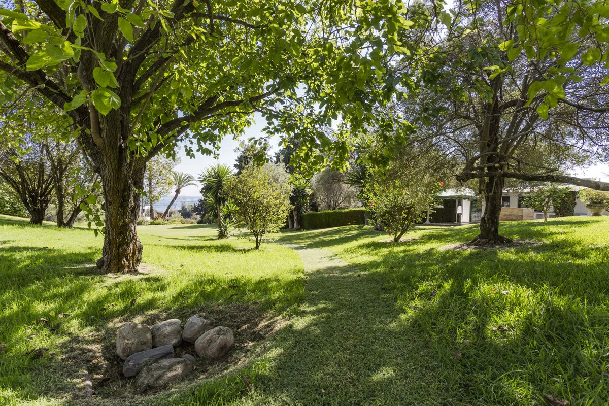 8-e64a9055bba3e77ac8aca3b893cdf826