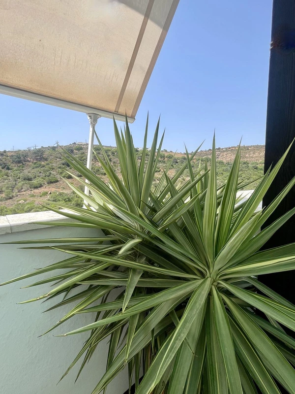 3-e898b2bb2a2fdfd06d2c39894dce8316