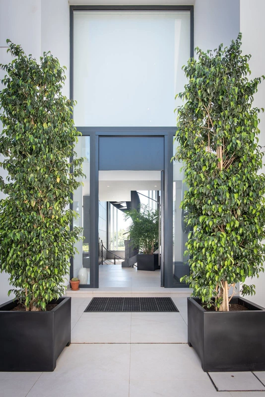 8-e64a9055bba3e77ac8aca3b893cdf826