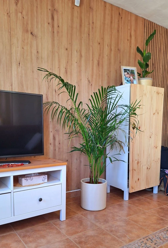 6-241328e1bcc9c0d8ce1222beb6c967a8