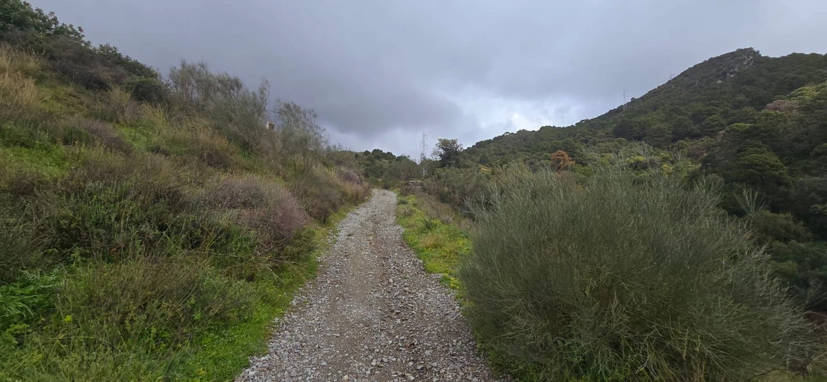 3-e898b2bb2a2fdfd06d2c39894dce8316