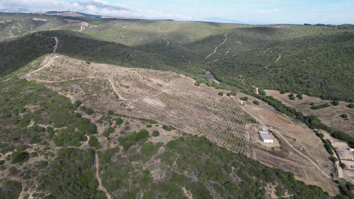 5-3595ad71cbd87be6c3643a4285ef4791