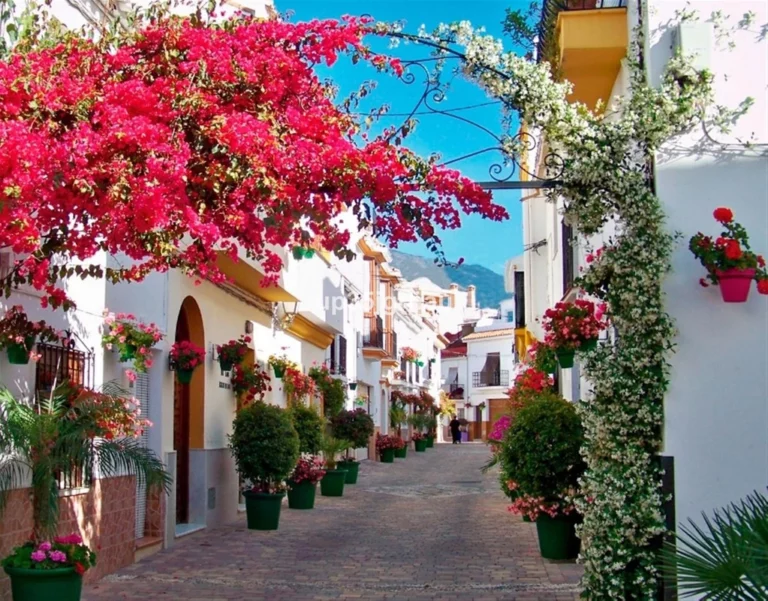 1-7980e48d732b6fc85c14b43b94d2aa54