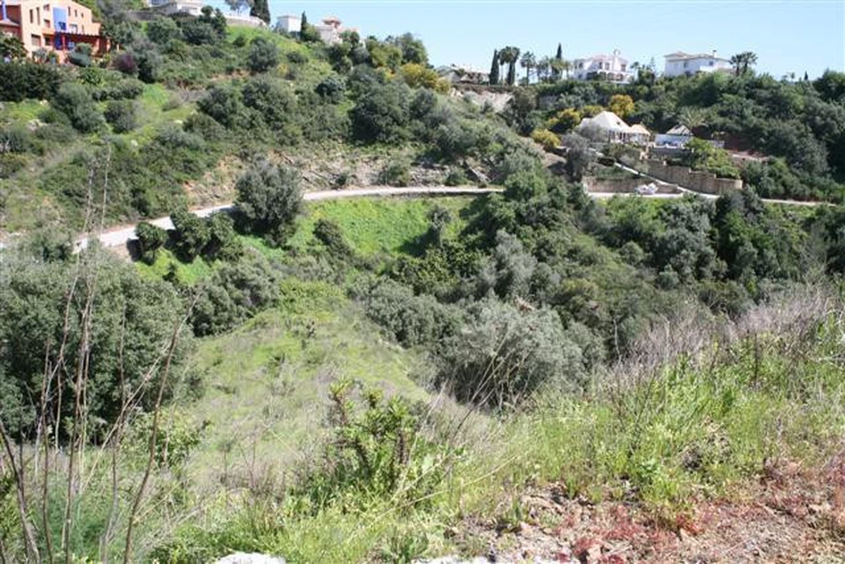 5-3595ad71cbd87be6c3643a4285ef4791