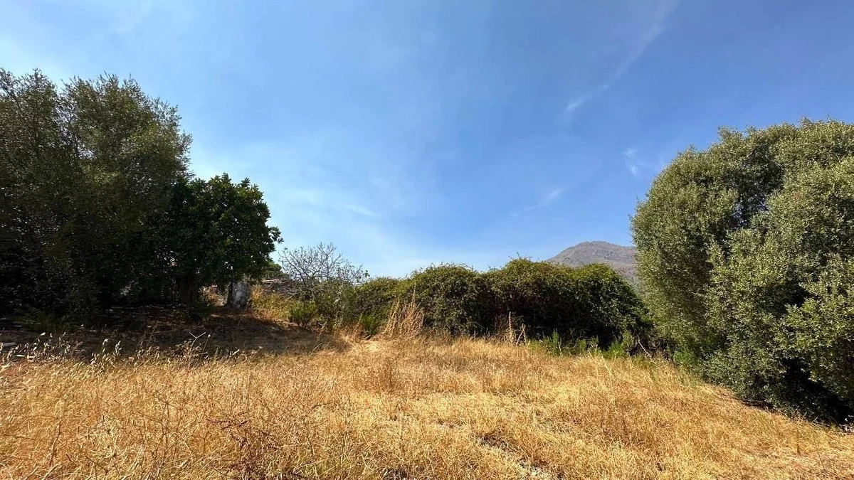 3-e898b2bb2a2fdfd06d2c39894dce8316