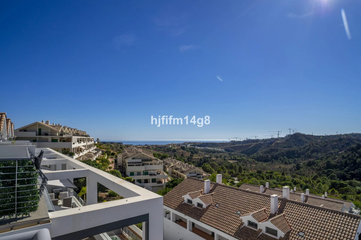 1-7980e48d732b6fc85c14b43b94d2aa54