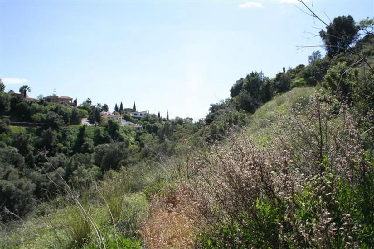 6-241328e1bcc9c0d8ce1222beb6c967a8