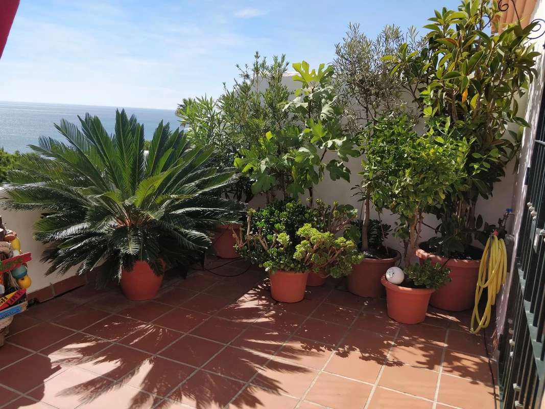 4-c23c0f86247804fa50226aecd8b0b2c8