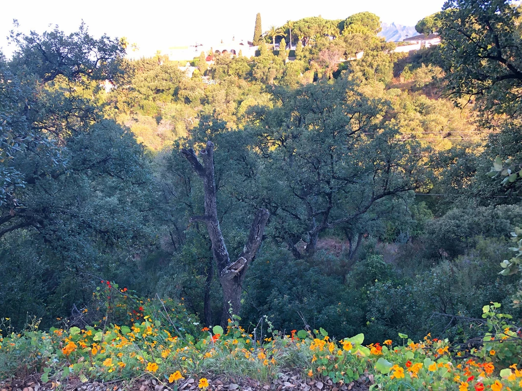 8-e64a9055bba3e77ac8aca3b893cdf826