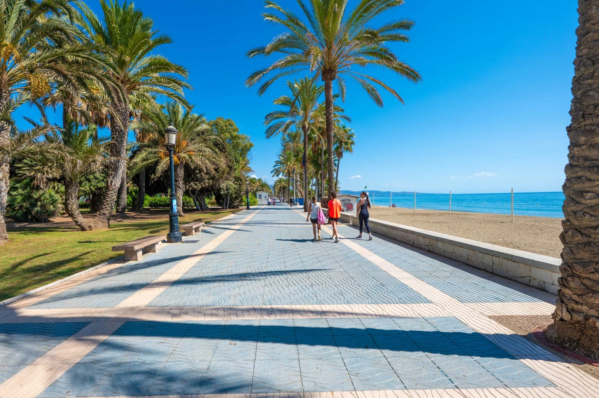 4-c23c0f86247804fa50226aecd8b0b2c8