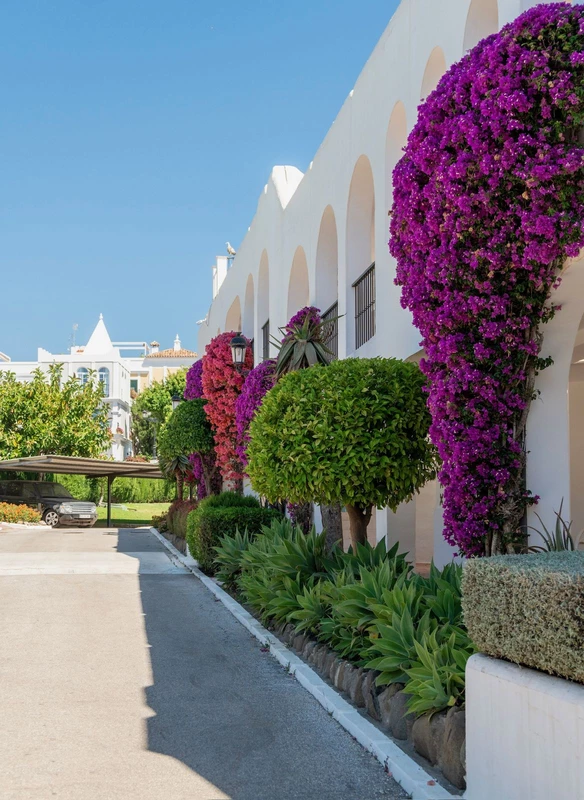 8-e64a9055bba3e77ac8aca3b893cdf826