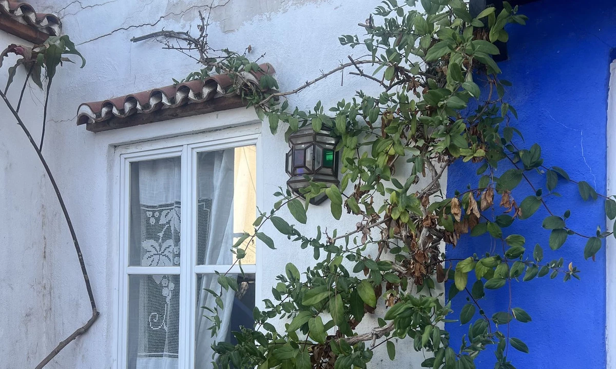 1-7980e48d732b6fc85c14b43b94d2aa54