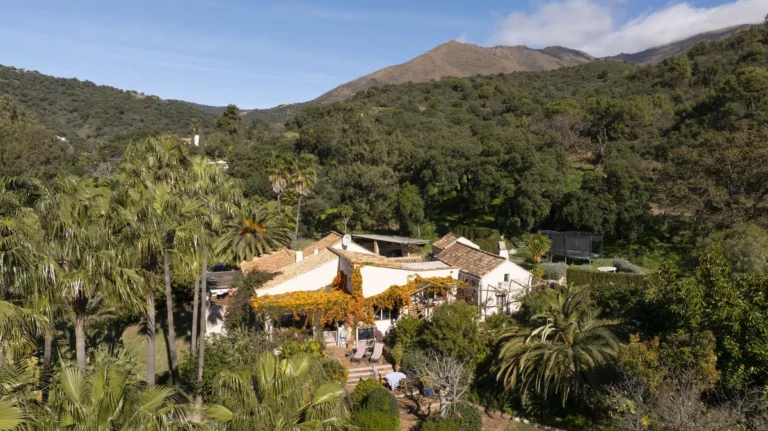 1-7980e48d732b6fc85c14b43b94d2aa54