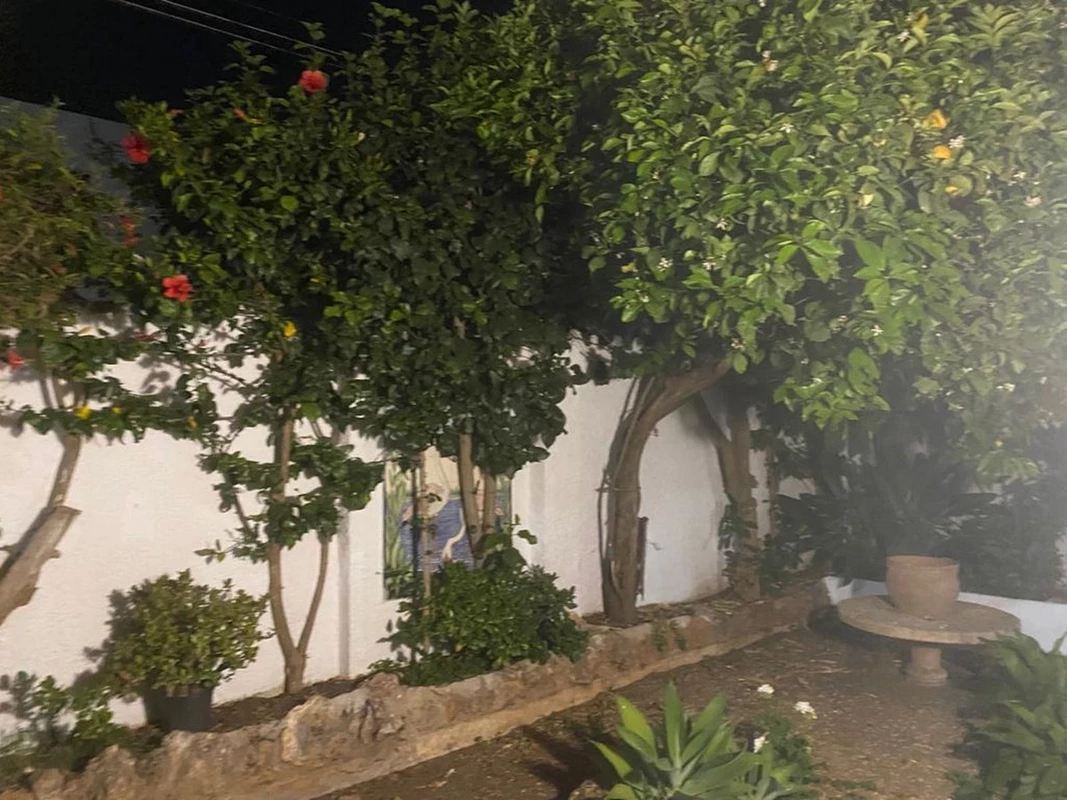 6-241328e1bcc9c0d8ce1222beb6c967a8