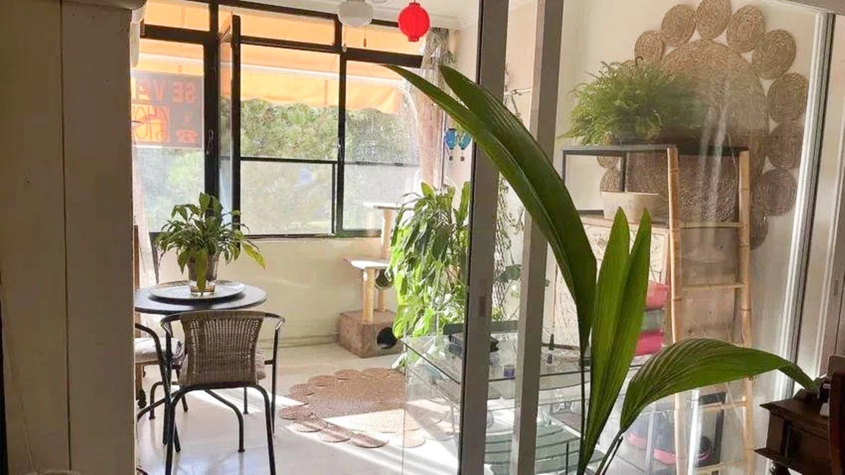 5-3595ad71cbd87be6c3643a4285ef4791