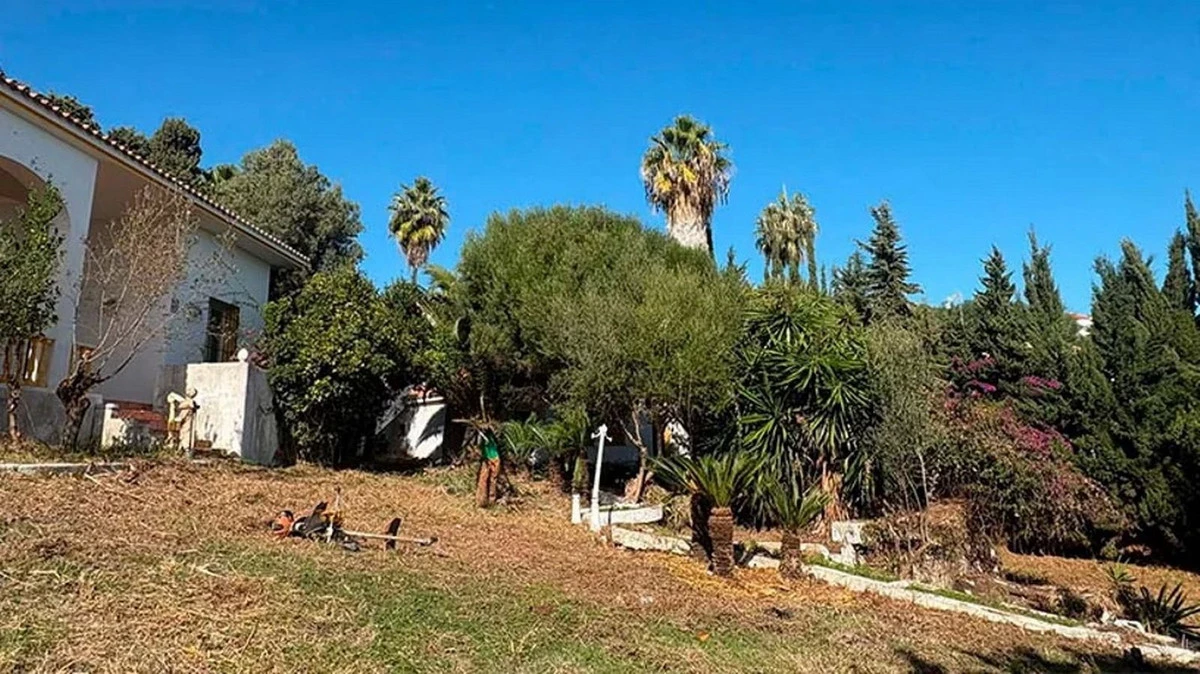 5-3595ad71cbd87be6c3643a4285ef4791