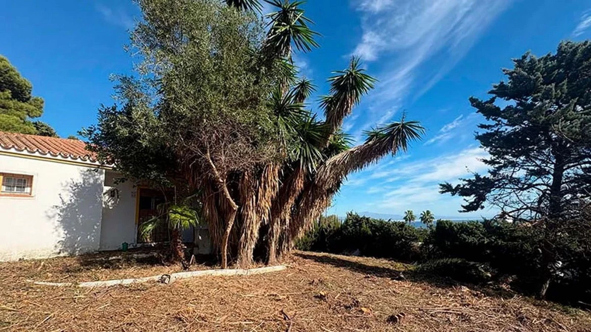 6-241328e1bcc9c0d8ce1222beb6c967a8