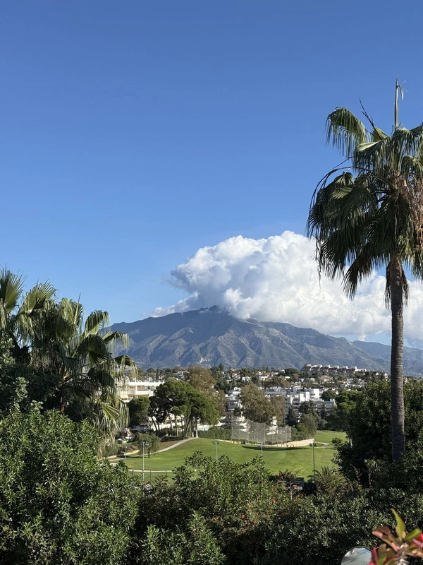 1-7980e48d732b6fc85c14b43b94d2aa54