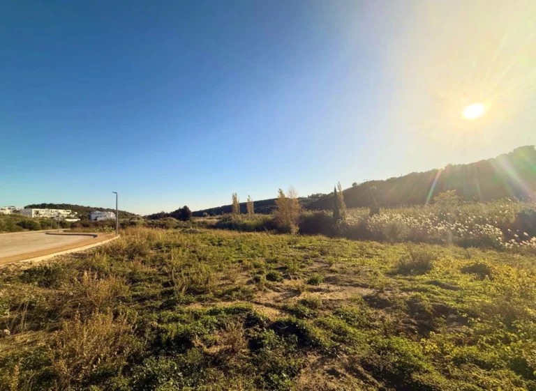 1-7980e48d732b6fc85c14b43b94d2aa54