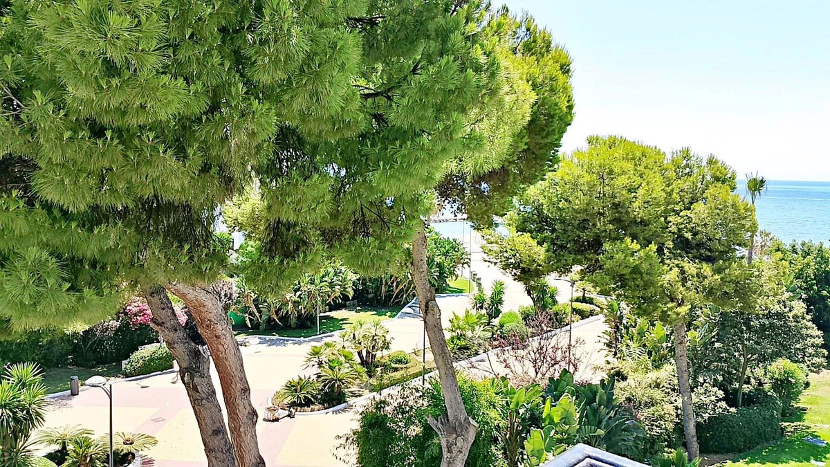 4-c23c0f86247804fa50226aecd8b0b2c8