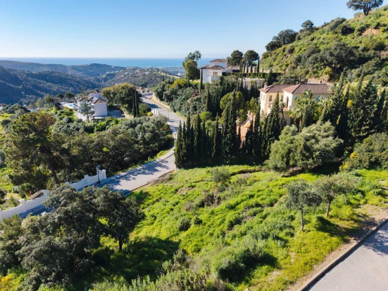 1-7980e48d732b6fc85c14b43b94d2aa54