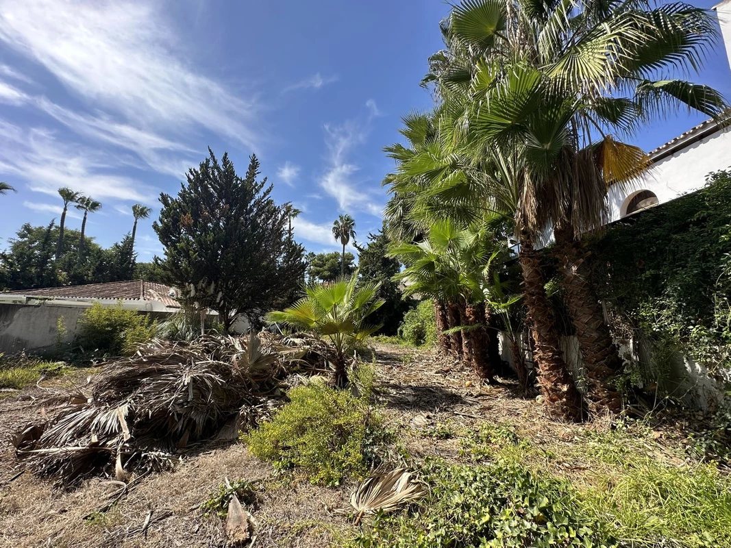 8-e64a9055bba3e77ac8aca3b893cdf826