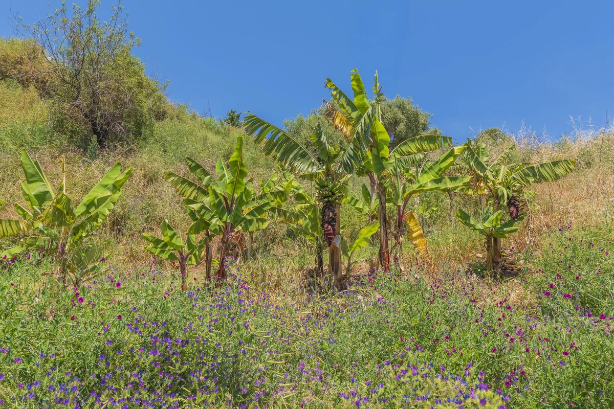 4-c23c0f86247804fa50226aecd8b0b2c8