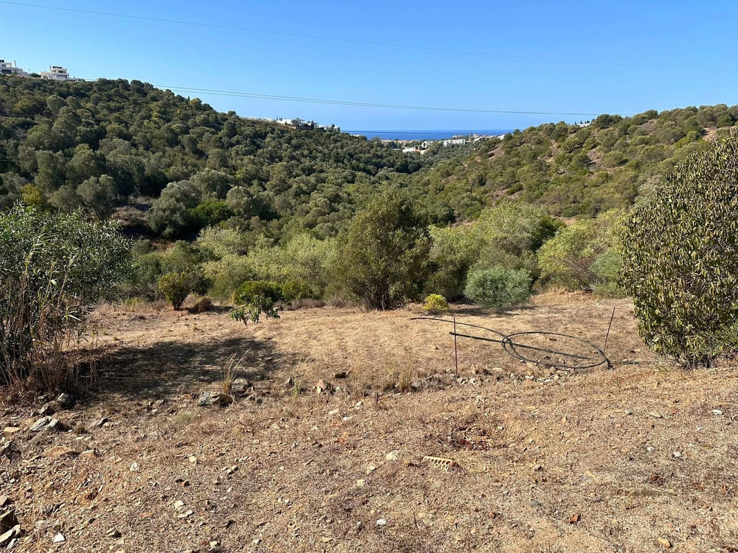 5-3595ad71cbd87be6c3643a4285ef4791