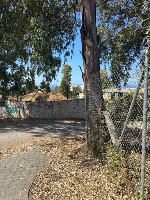 4-c23c0f86247804fa50226aecd8b0b2c8