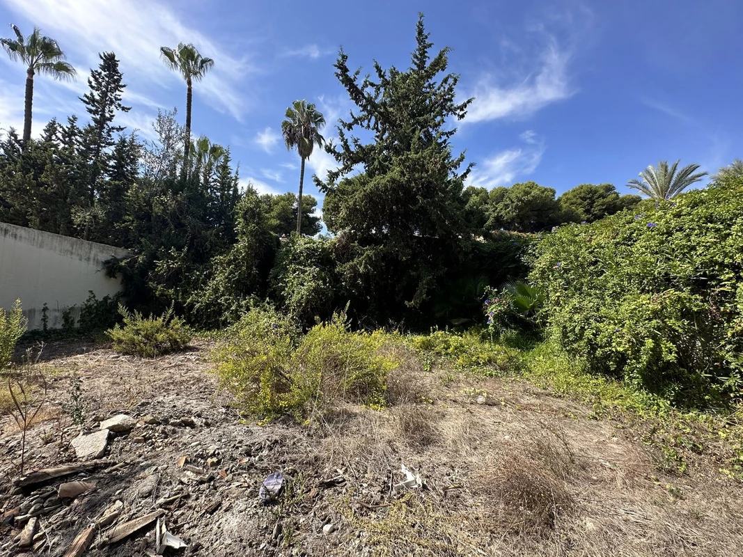 3-e898b2bb2a2fdfd06d2c39894dce8316