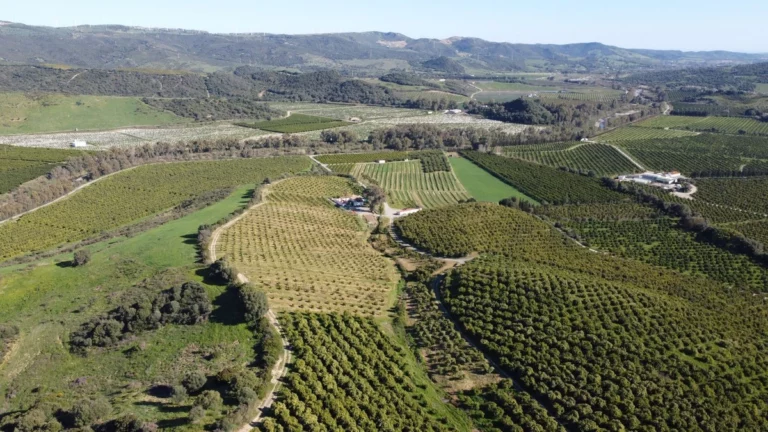 R5041204 | Land in Casares – € 4,772,250 – 0 beds, 0 baths