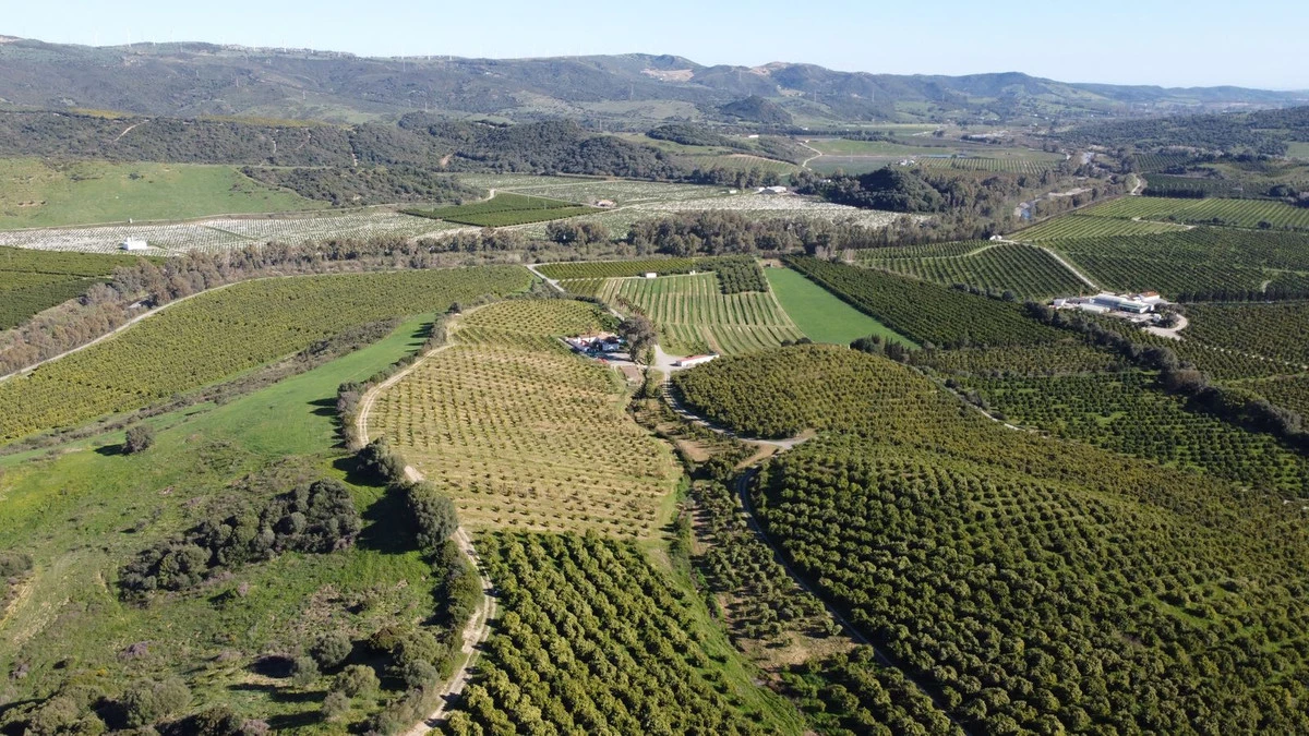 1-7980e48d732b6fc85c14b43b94d2aa54