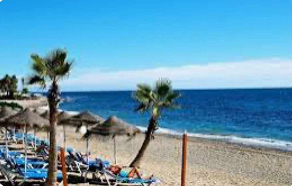 1-7980e48d732b6fc85c14b43b94d2aa54