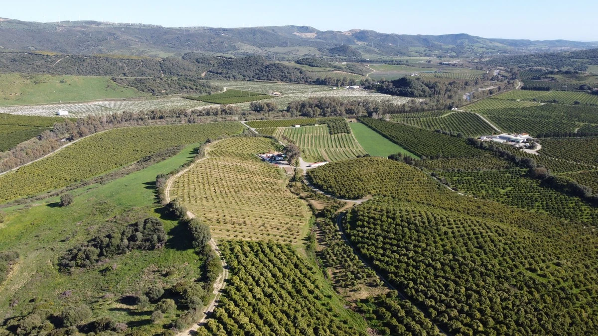 2-5bd7b9d04b45e33852eaf0ec6670150d