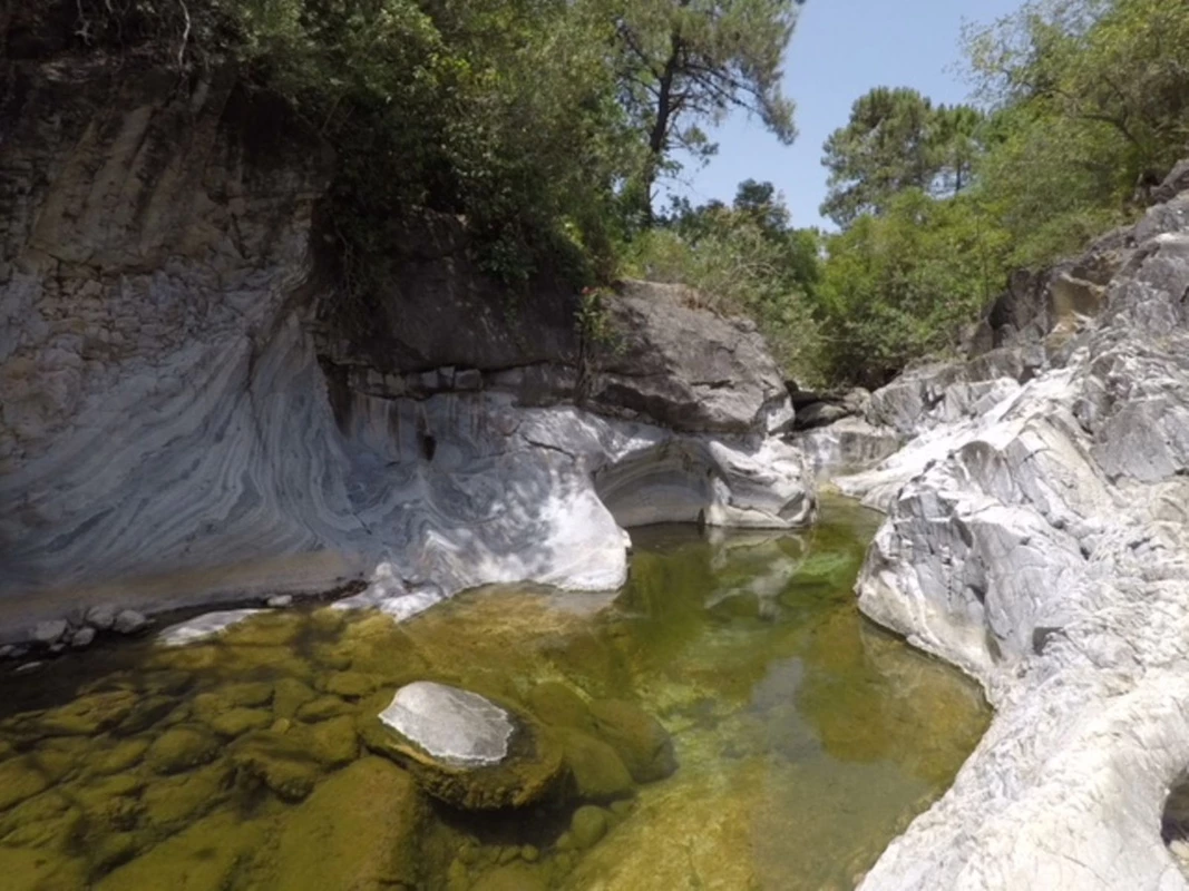 4-c23c0f86247804fa50226aecd8b0b2c8