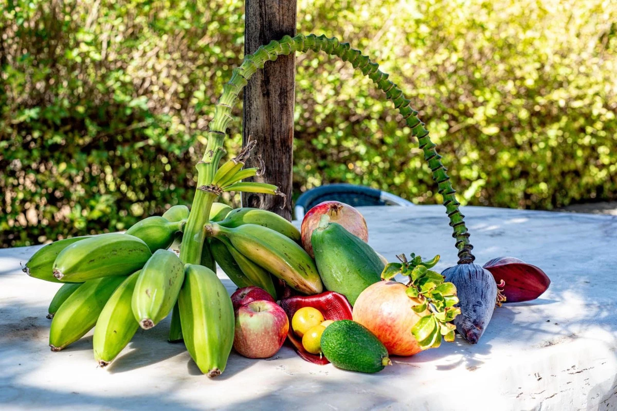 5-3595ad71cbd87be6c3643a4285ef4791