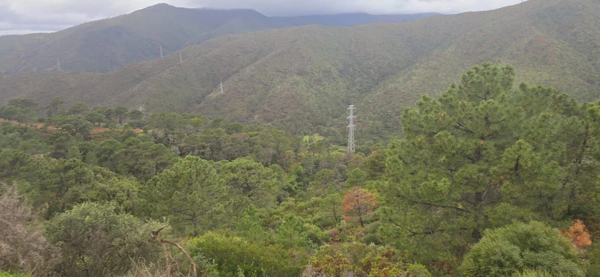 7-aa4cc561180b369757c0bb4af9886cd3