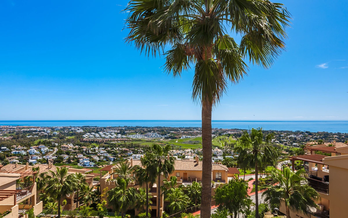 7-aa4cc561180b369757c0bb4af9886cd3