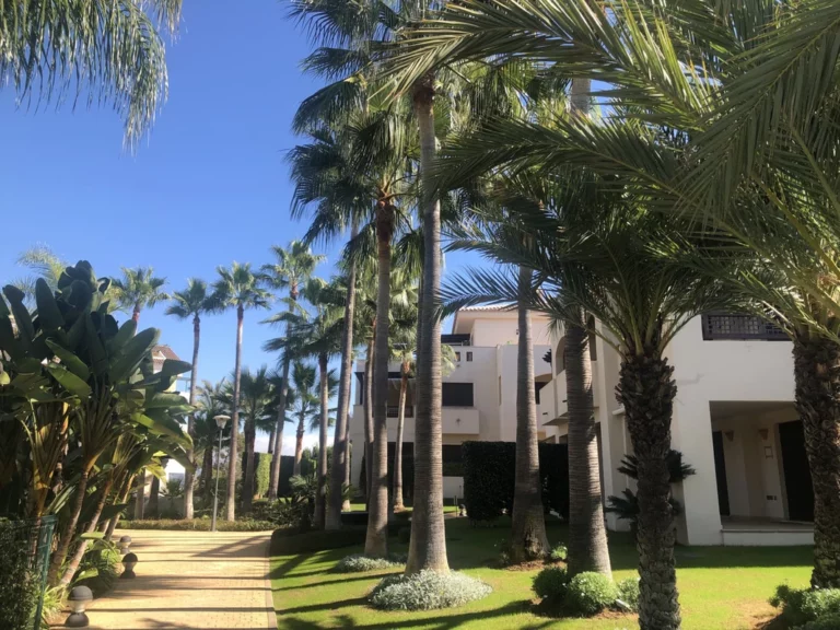 1-7980e48d732b6fc85c14b43b94d2aa54