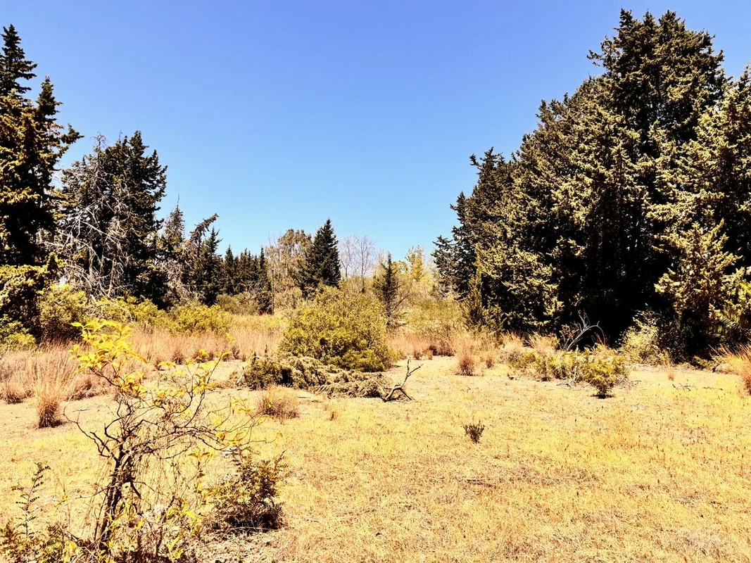 2-5bd7b9d04b45e33852eaf0ec6670150d