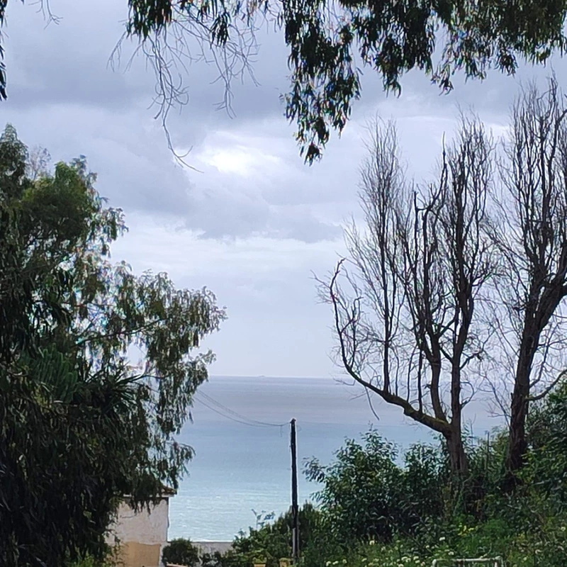 5-3595ad71cbd87be6c3643a4285ef4791