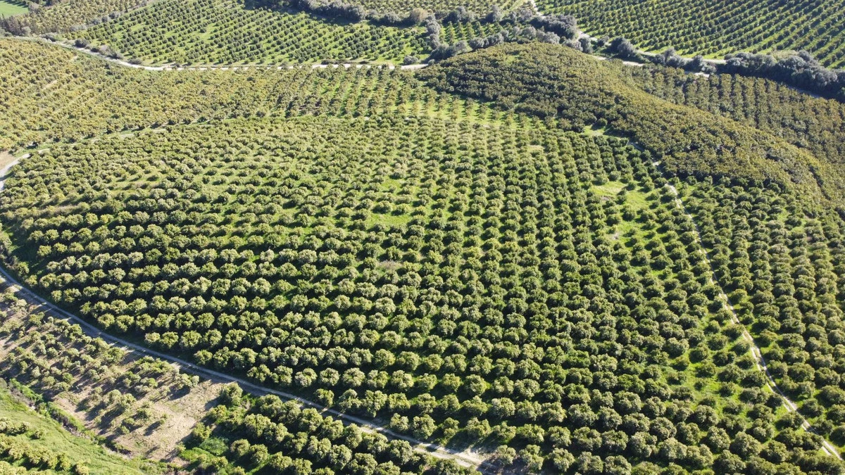 8-e64a9055bba3e77ac8aca3b893cdf826