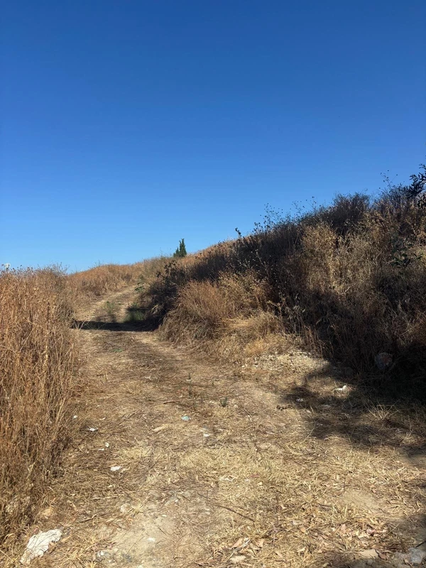 6-241328e1bcc9c0d8ce1222beb6c967a8